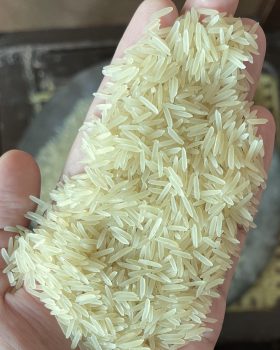 Kainat Rice